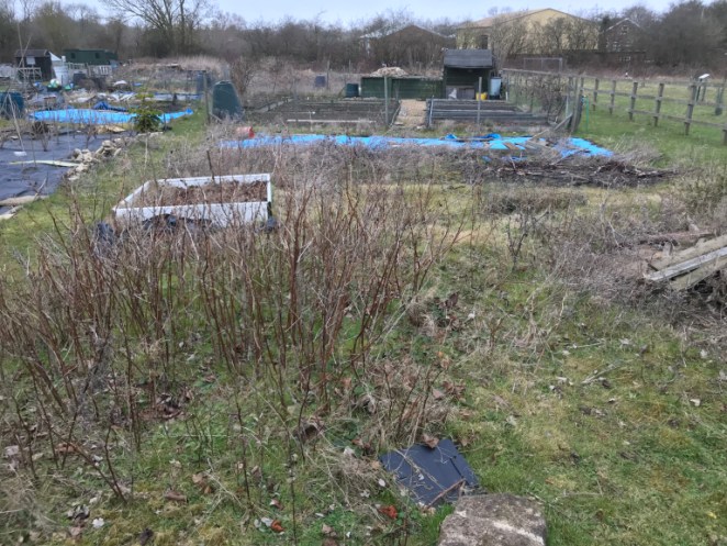 allotment