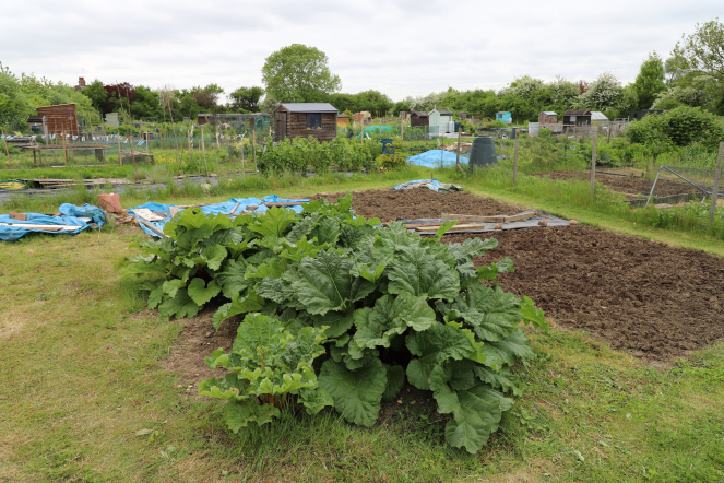 allotment