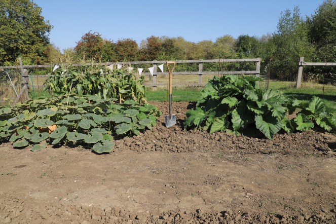 digging out the paths