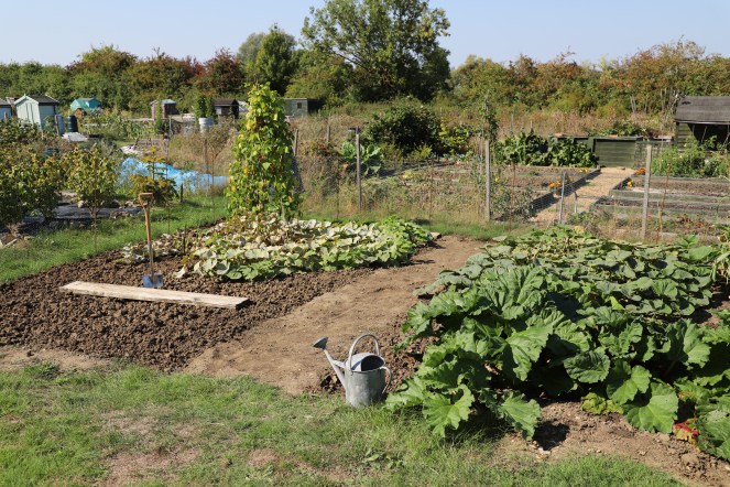 allotment