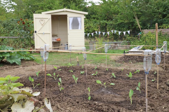 allotment