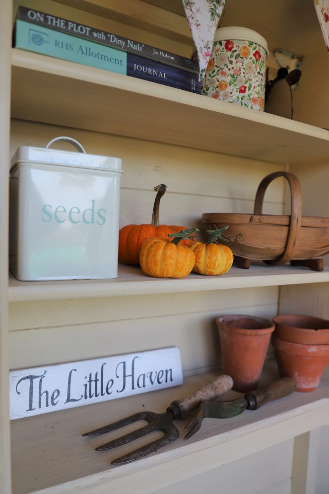 allotment shed shelf