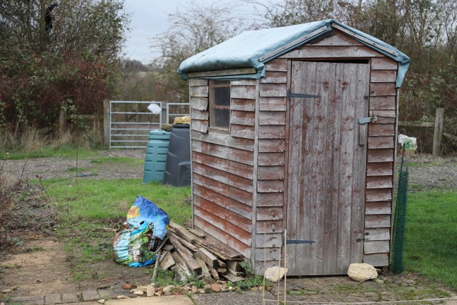 allotment shed