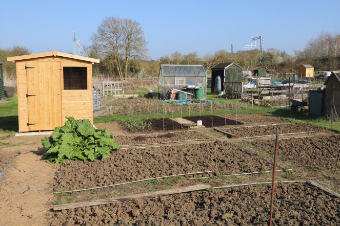allotment