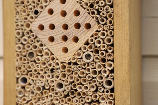 mason bee box