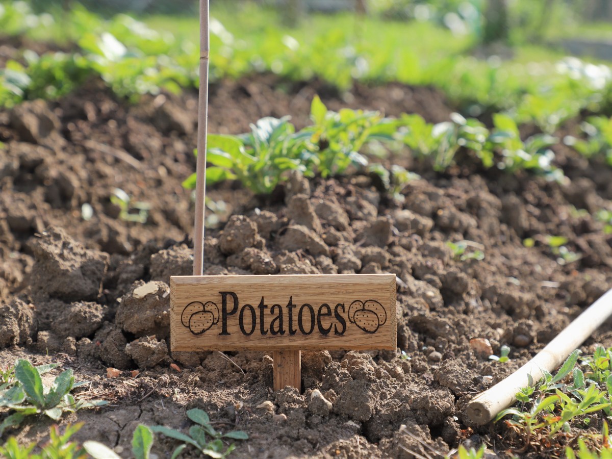 Allotment Jobs for&nbsp;May