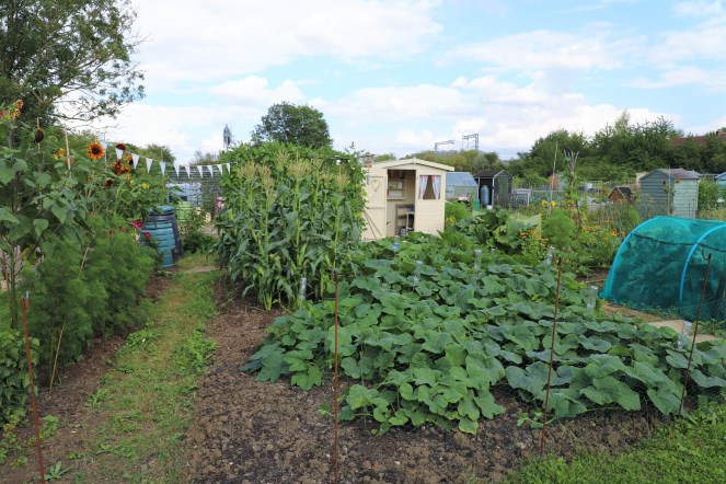 allotment