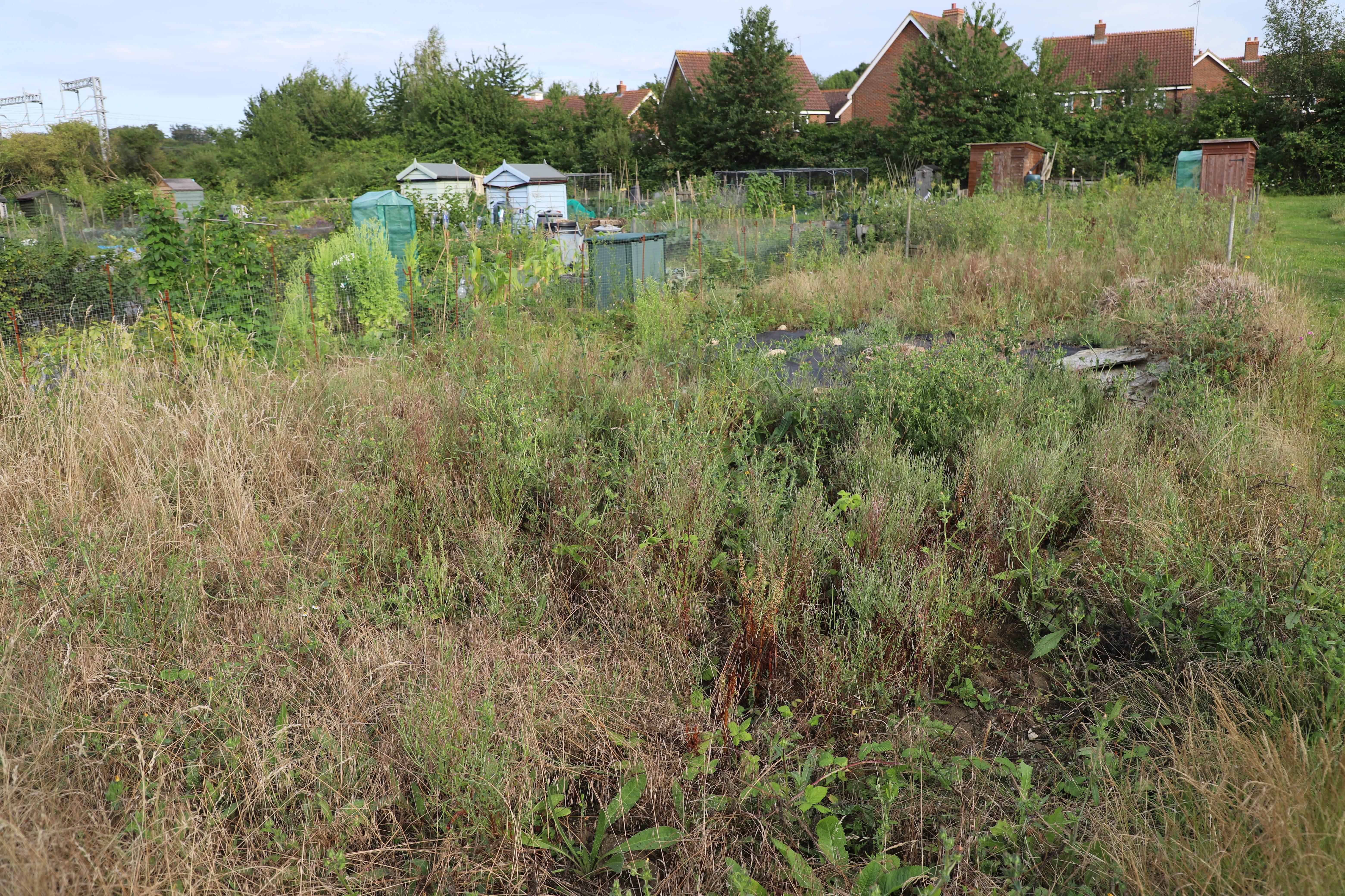 new allotment