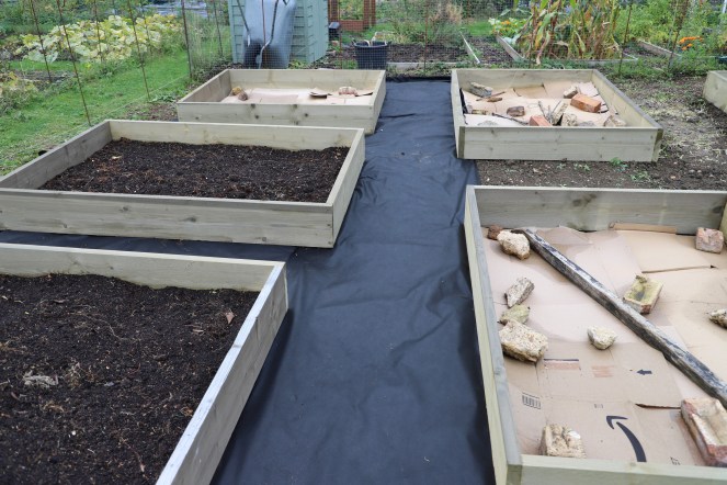 no dig raised beds