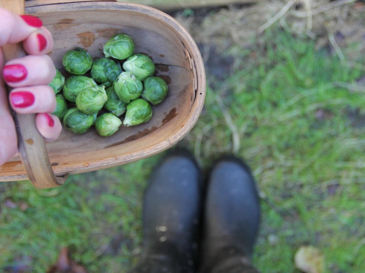 Allotment Jobs for&nbsp;December