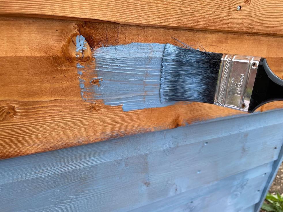 cuprinol forget me not